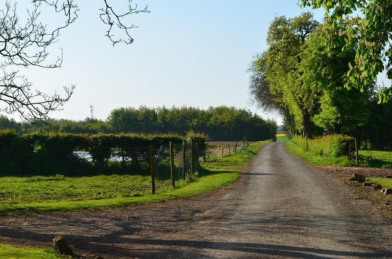 La Ferme Du Bois Quesnoy Bed & Breakfast Saint-Pol-sur-Ternoise ภายนอก รูปภาพ